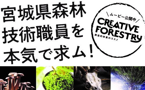 林業技術職の募集