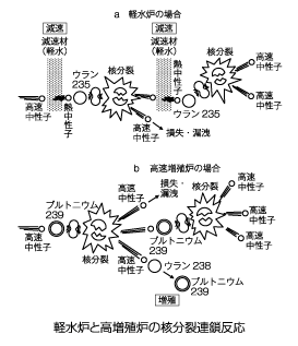 軽水炉と高増殖炉の核分裂連鎖反応の図