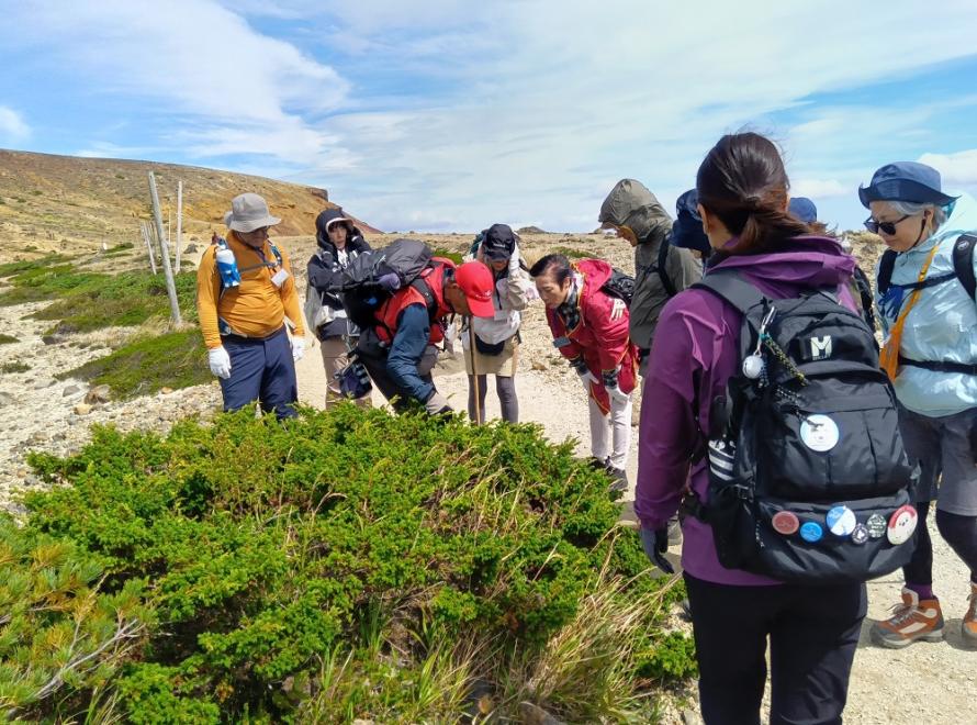清掃登山の様子3