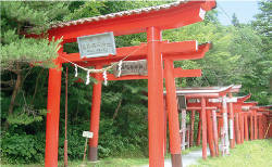 「蔵稲荷神社」の100基余の鳥居の列の写真