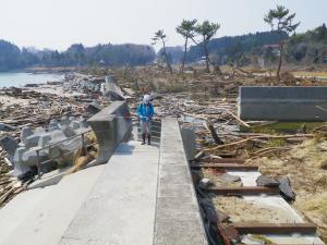 田中浜における海岸防潮堤の倒伏と海岸防災林の流出状況写真