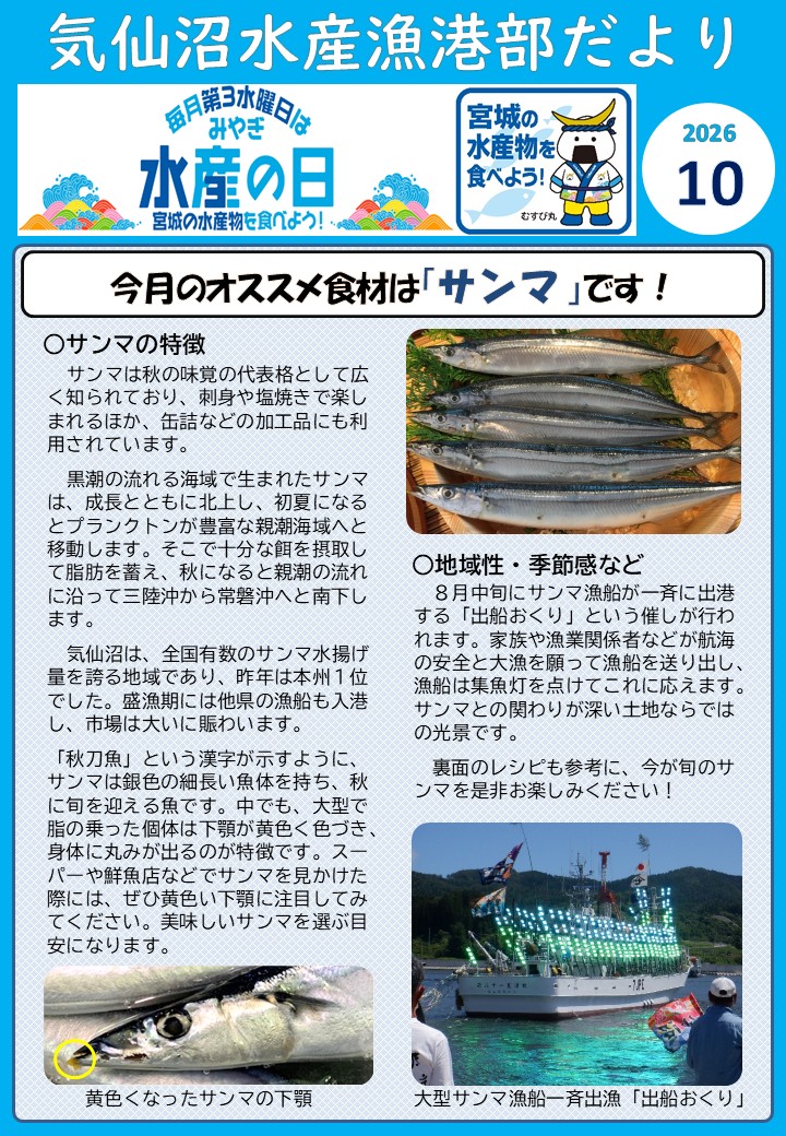 R8_october_saury1