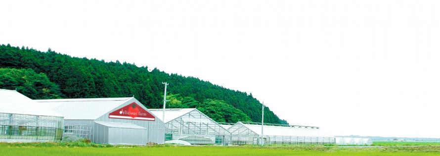 デリシャスファーム外観
