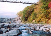 横川やまびこつり橋の写真です