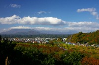 船岡城址公園から見た蔵王の写真です