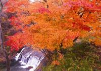 佳作「紅葉の滝」の写真