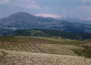 塩沢大山　果樹園団地から見た蔵王連峰の写真です