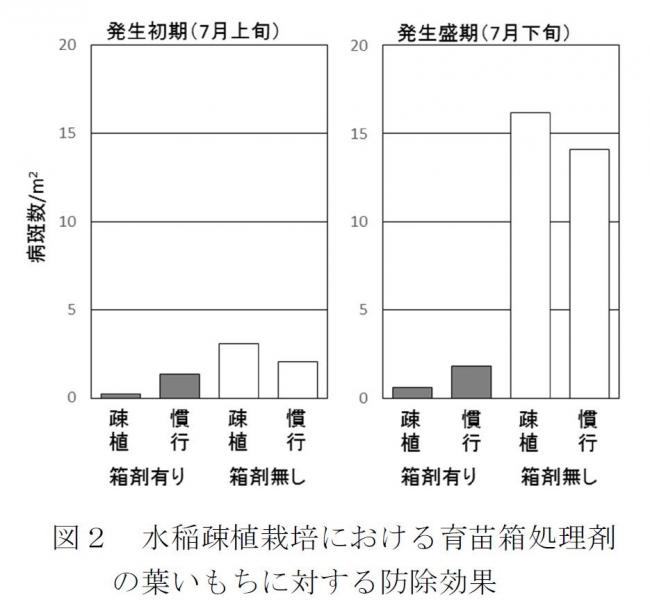 水稲疎植栽培における育苗箱処理剤の葉いもちに対する防除効果のグラフ