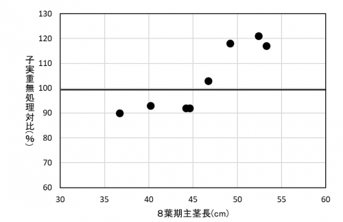 8葉期の主茎長と摘芯処理による増収効果（平成30年～令和2年）の図