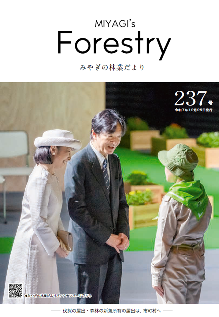 林業だより237号表紙