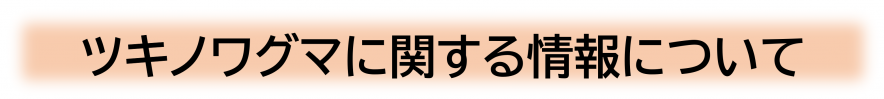 ツキノワグマに関する情報について
