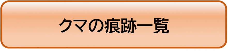 クマの痕跡一覧