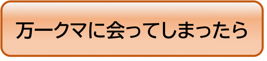 万一クマに会ってしまったら