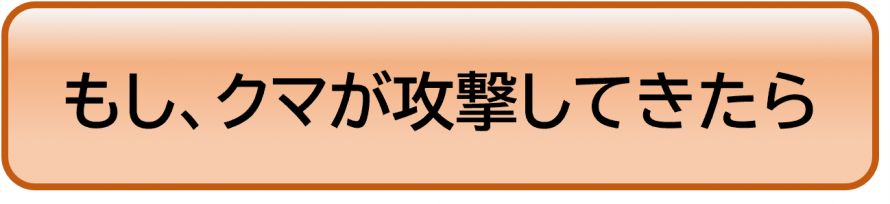 もし、クマが攻撃してきたら