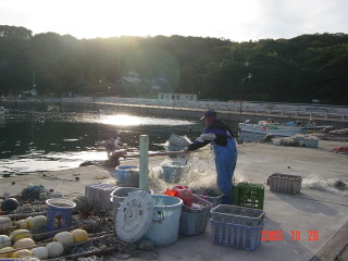 夕日の中の仁斗田漁港の写真です