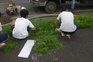 古川北中学校ボランティア活動の様子2