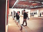展示室3 特別展「ウィーンの春-クリムトからシーレまで」2001年