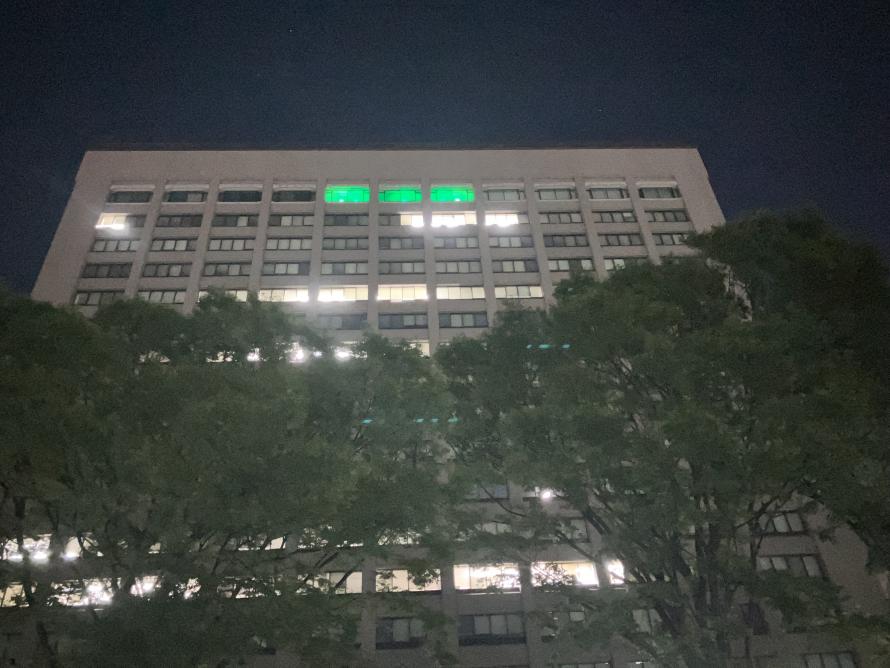 ライトアップ1