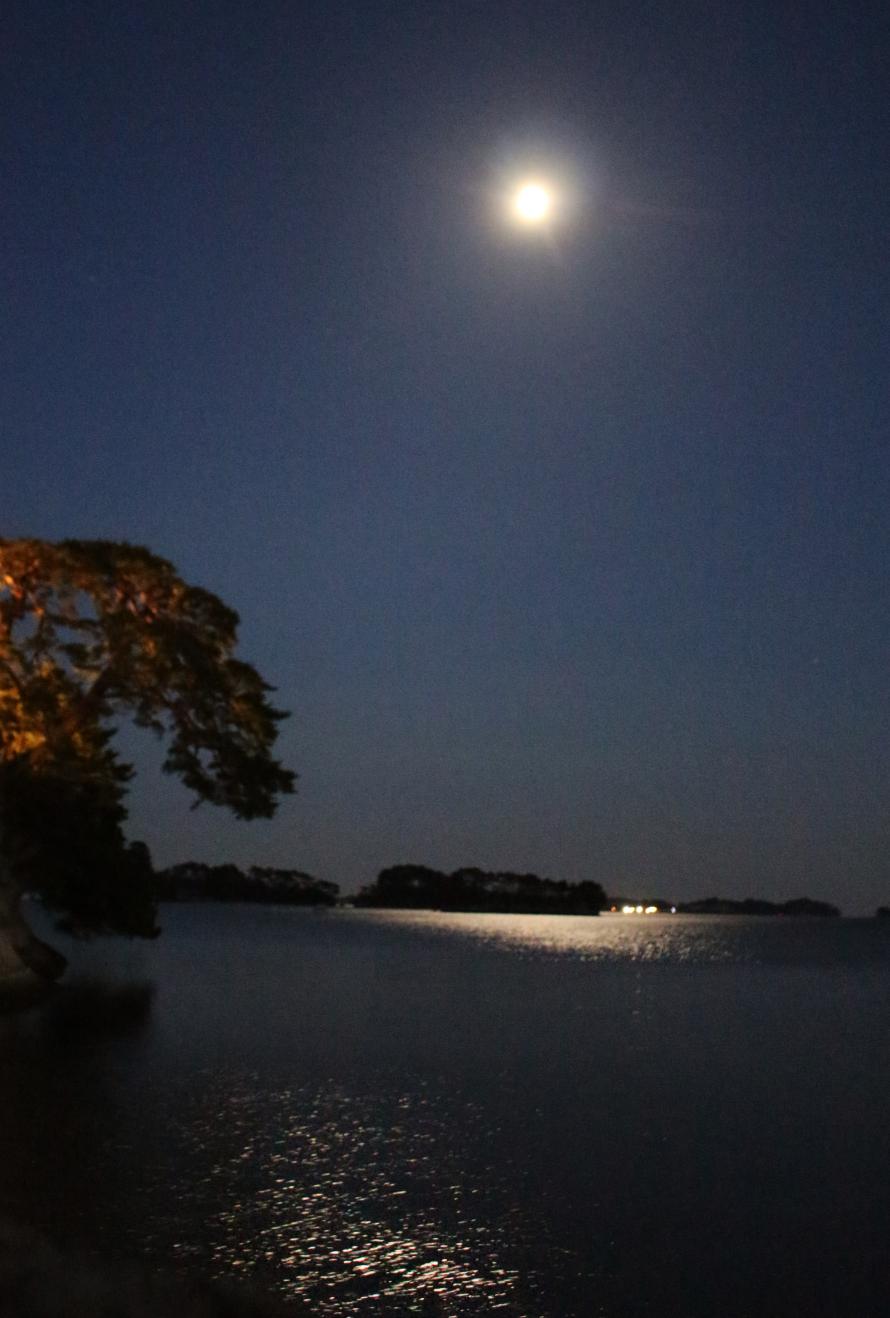 松島の月の写真