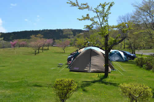 グリーンパーク不忘