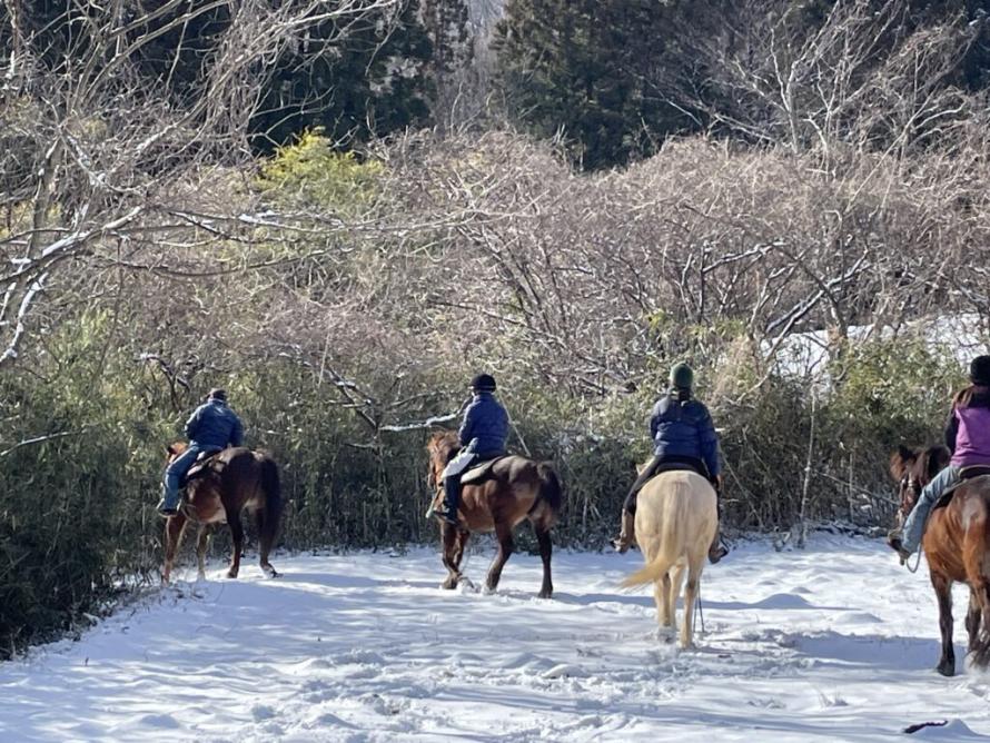 ホワイトストーン