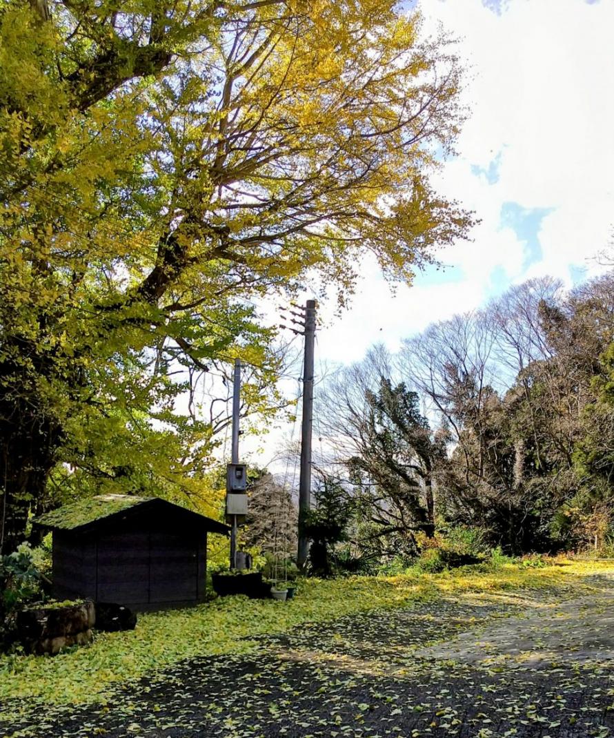 柴田フットパス