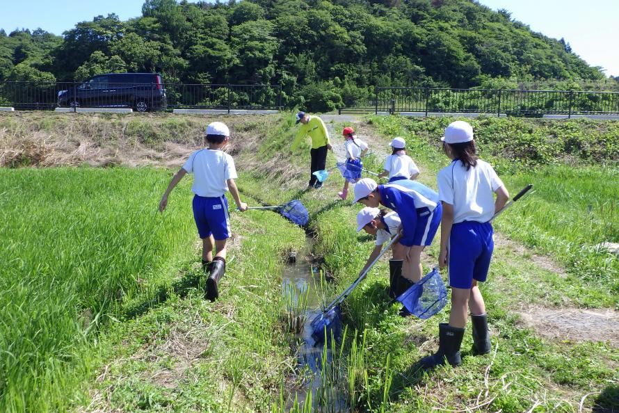 生き物調査1