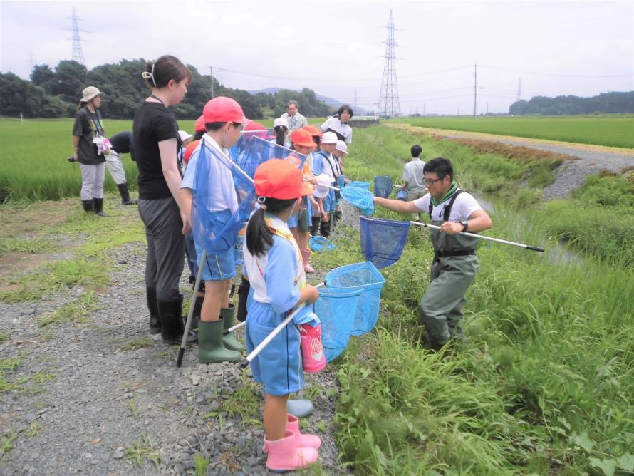 田んぼの学校柴田小2