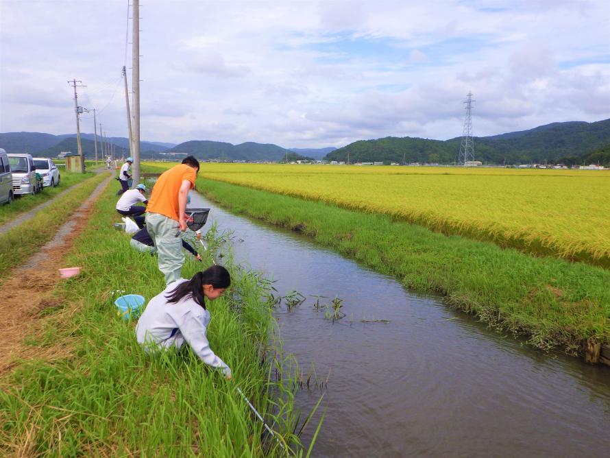 大森地区