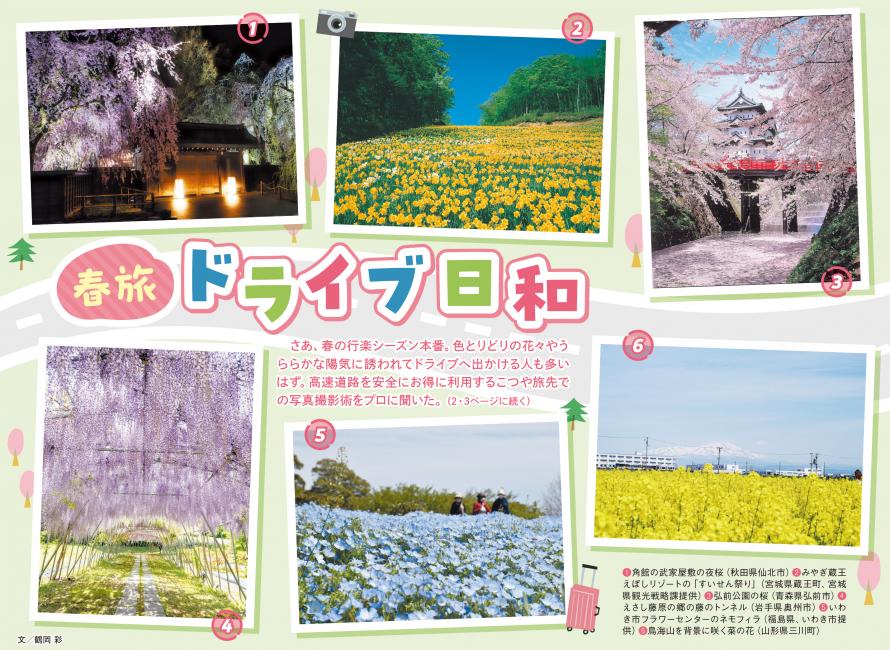 春旅ドライブ日和