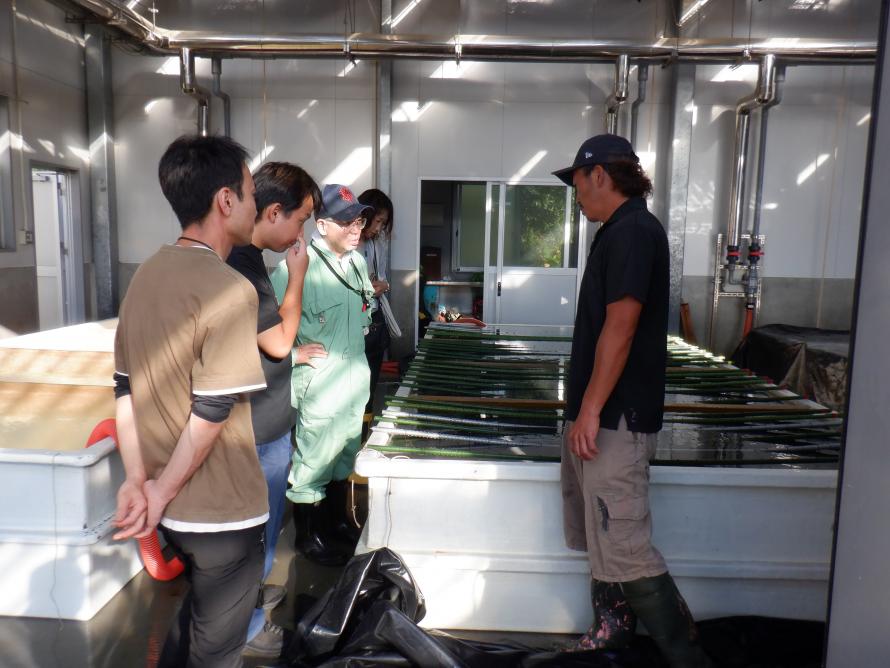 みやぎ食材伝道士