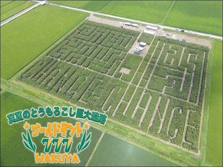 涌谷町ゴールド