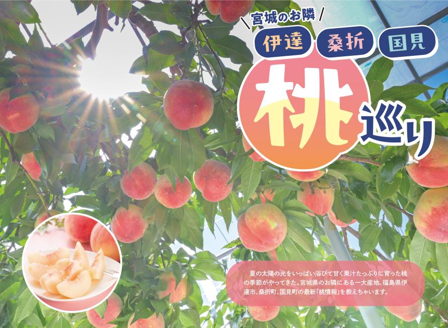 河北ウイークリー　チラシ