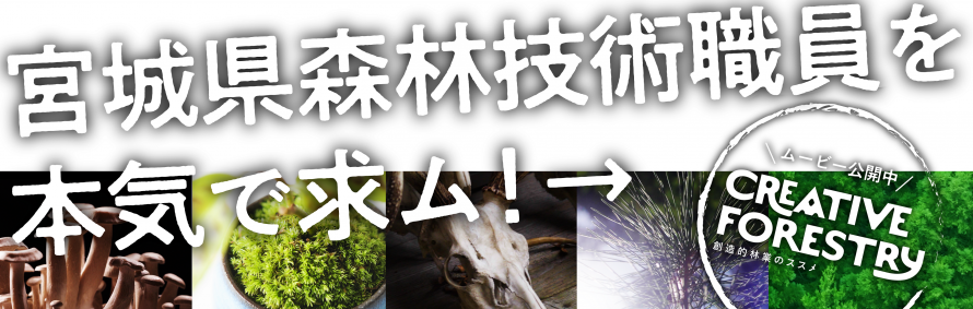 森林職イベントバナー