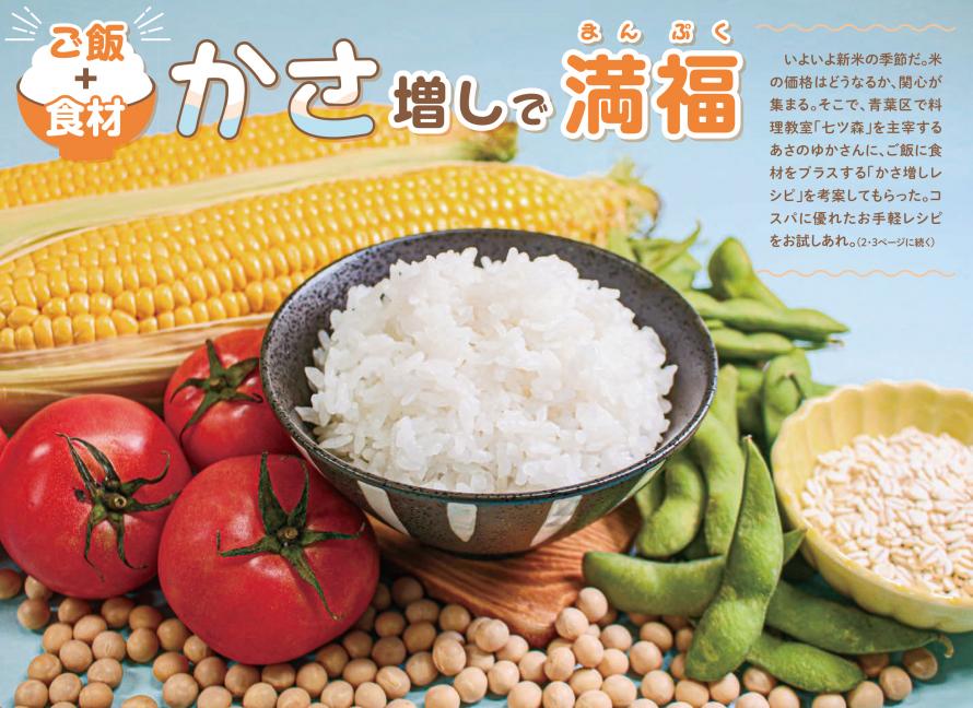 河北ウイークリーチラシ