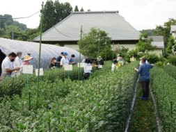 R6農業技術普及