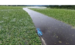 R6伊豆沼ハス刈払い