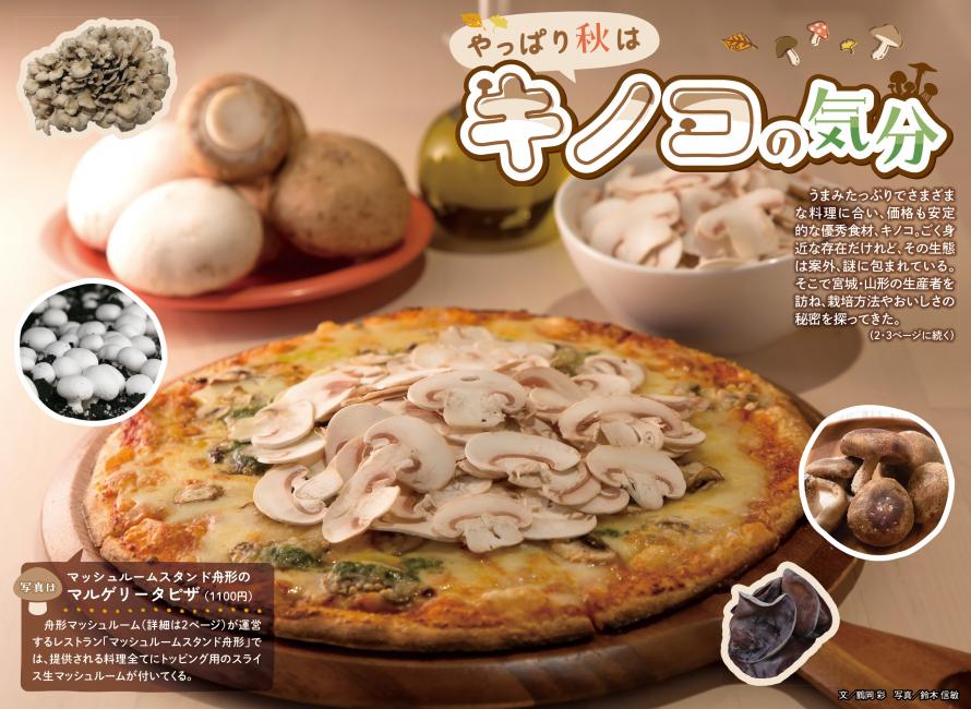 河北ウイークリーチラシ