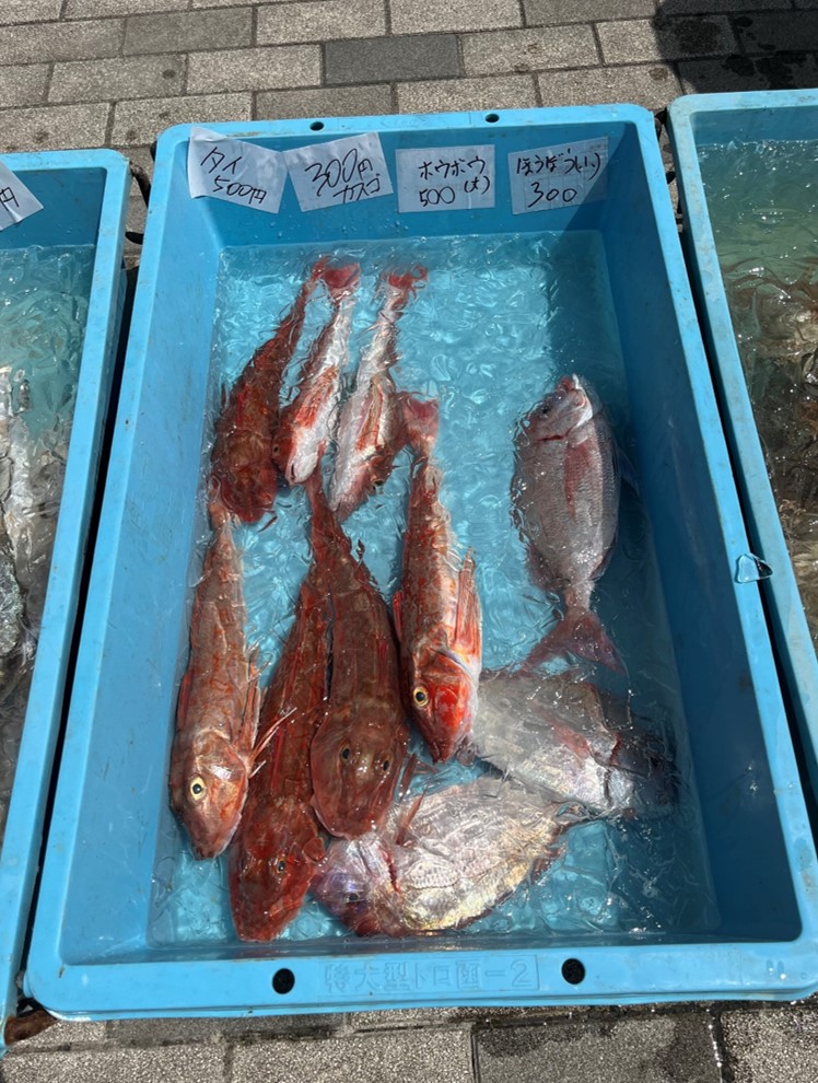亘理荒浜水産物直売会