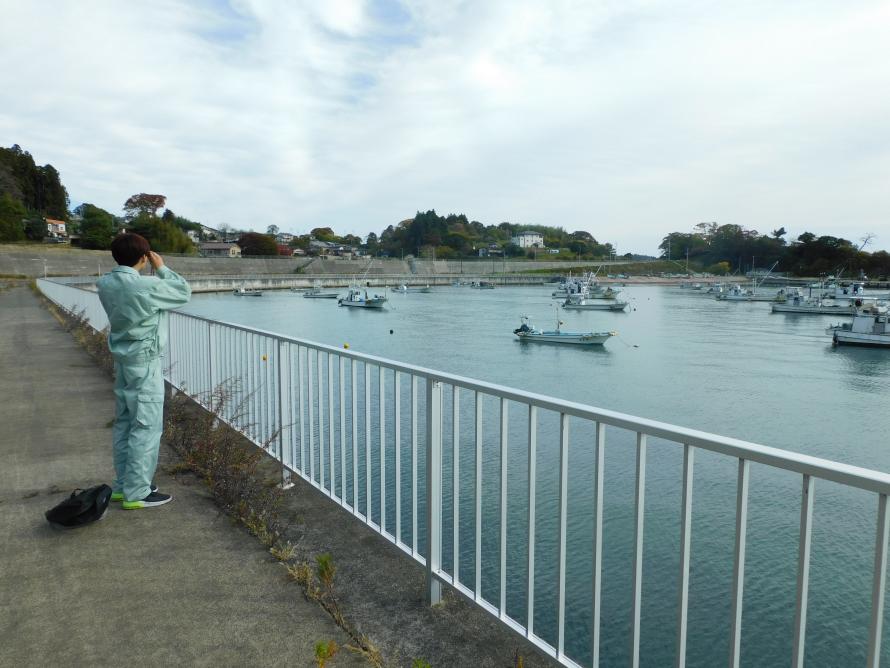 ガンカモ調査風景