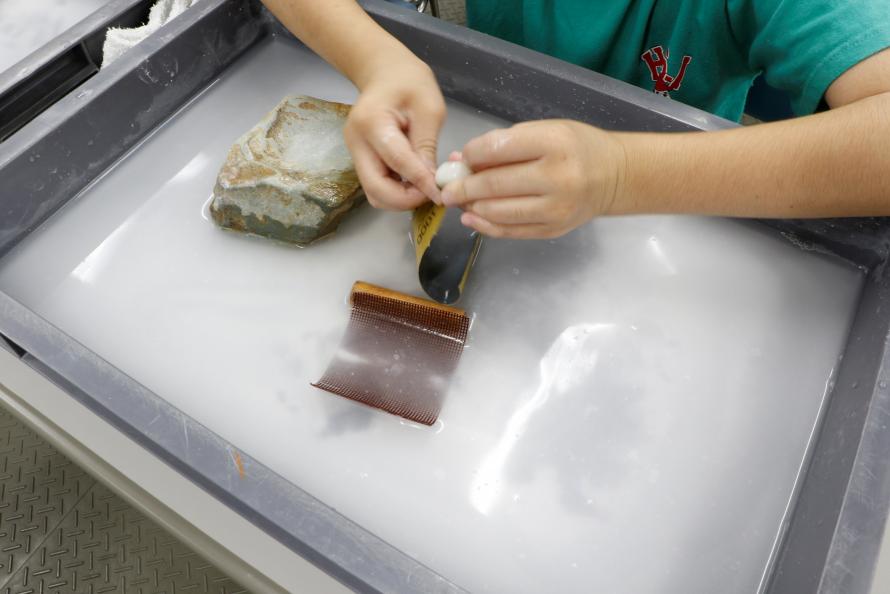 冬も元気にはくぶつかん！2026