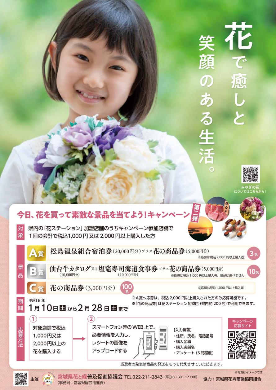 キャンペーンチラシ