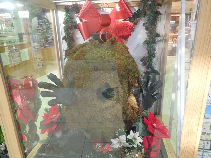 苔りほんにょ(大)