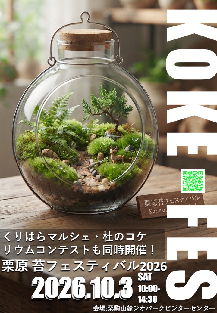 苔フェスチラシ