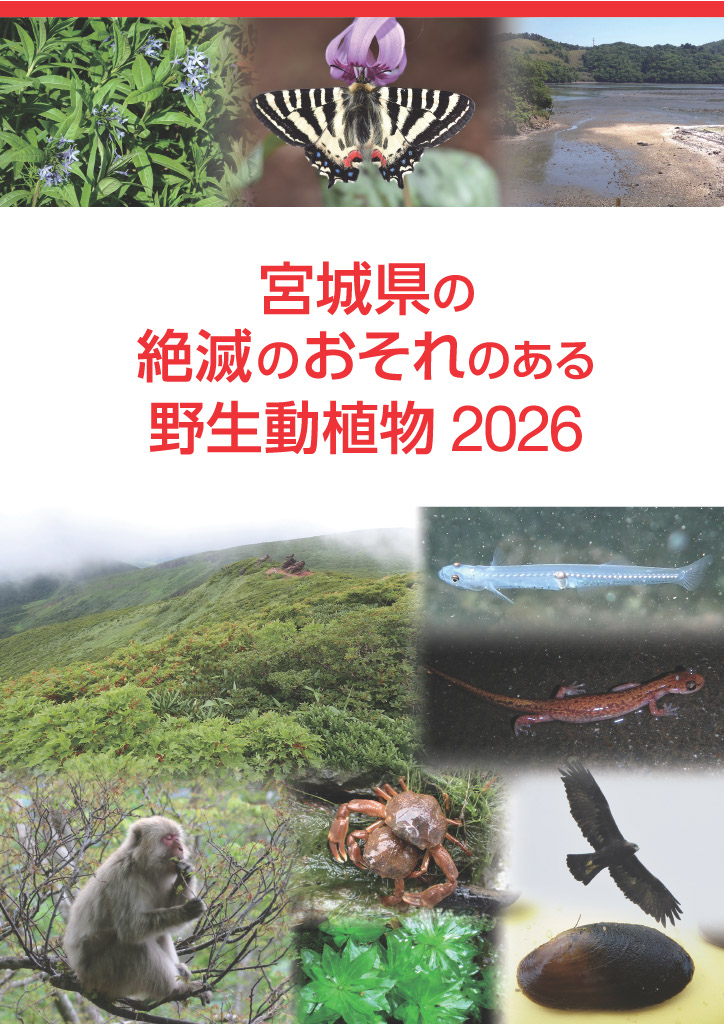 RDB2026 表紙