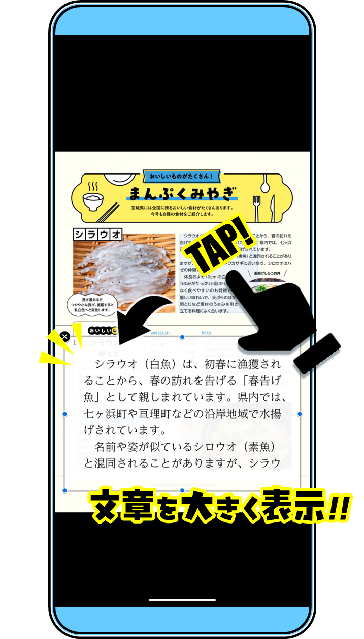 ookiku2