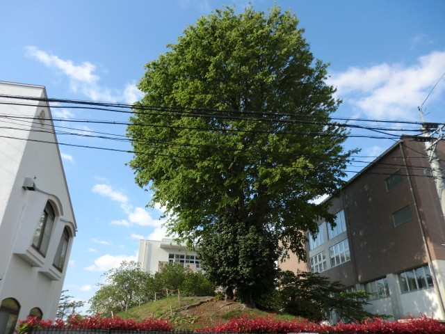 写真4