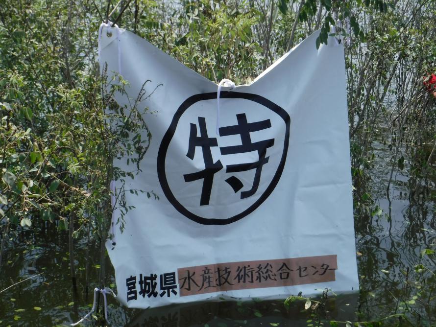 tokusaiki