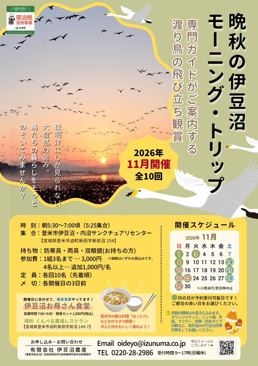 鳥見学チラシ