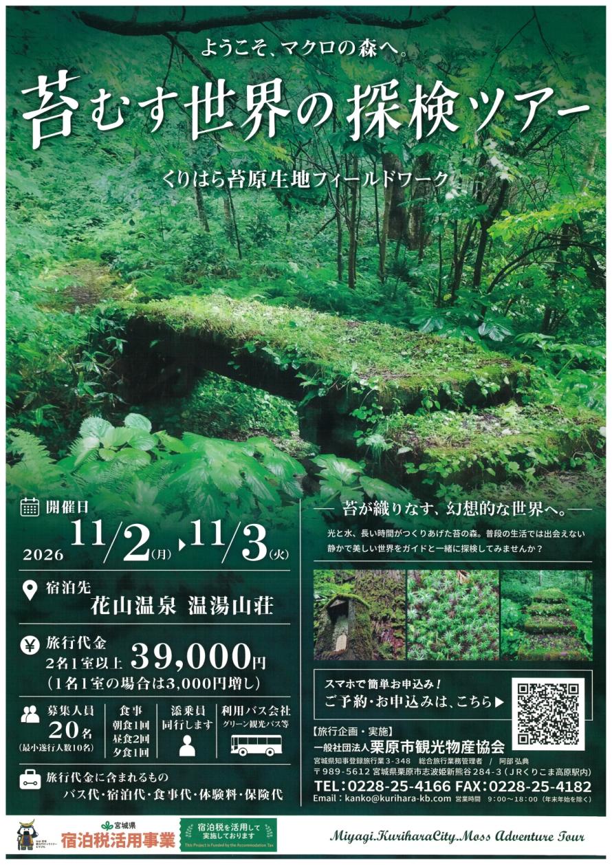 苔むす世界の探検ツアーのチラシです。